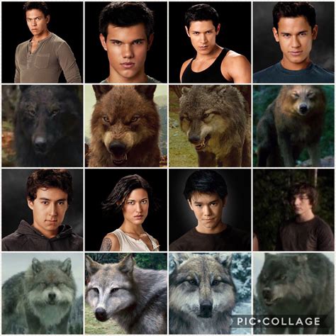 lobos de crepúsculo.